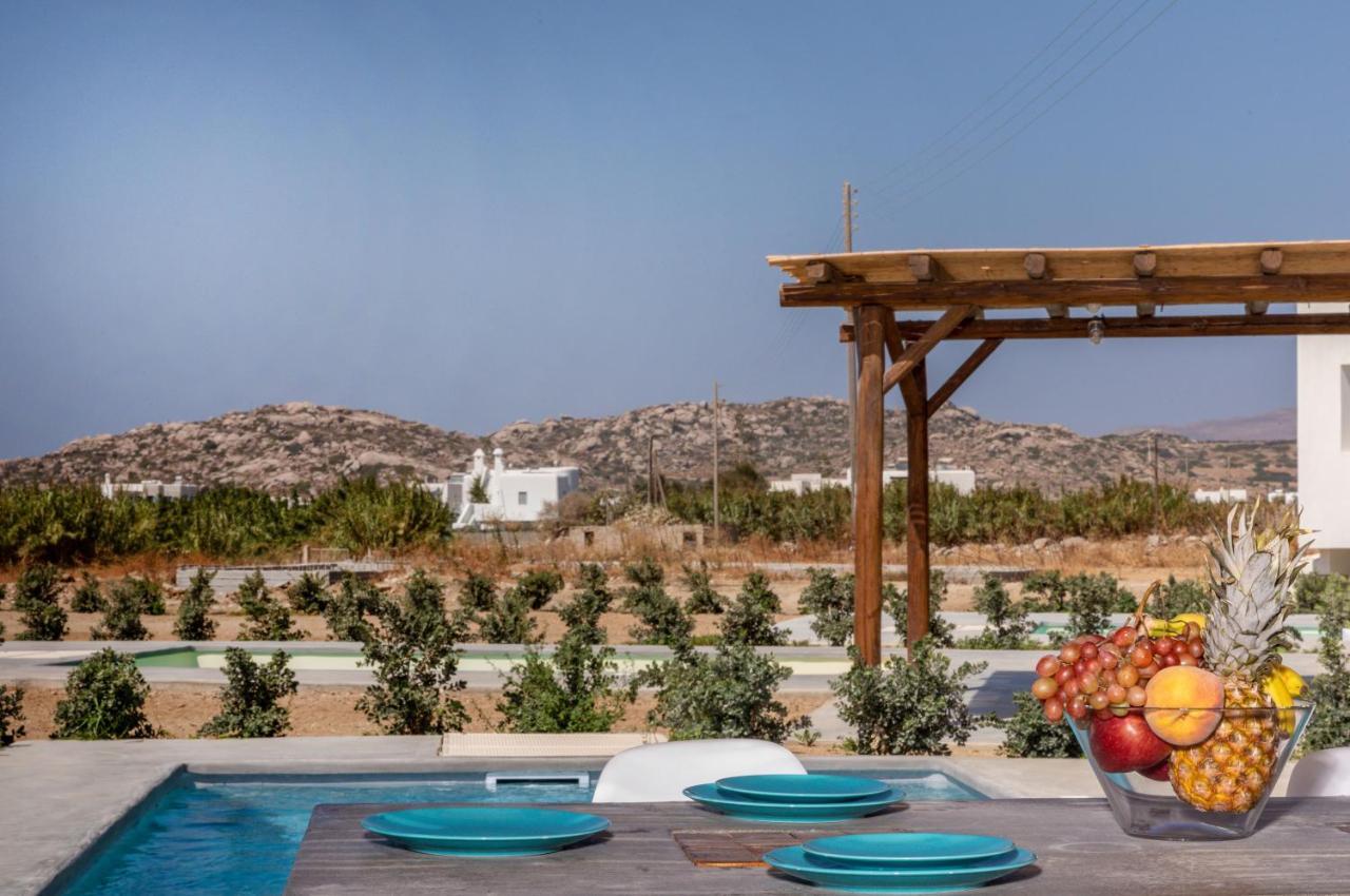 Bamboo Villa Naxos Mikri Vigla Zewnętrze zdjęcie